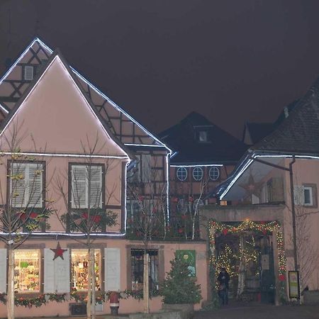 Chez Myriam Bed And Breakfast Studio Parme Colmar Ngoại thất bức ảnh