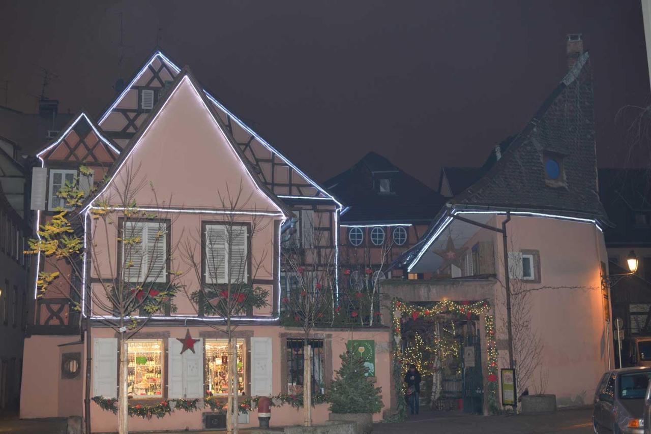 Chez Myriam Bed And Breakfast Studio Parme Colmar Ngoại thất bức ảnh