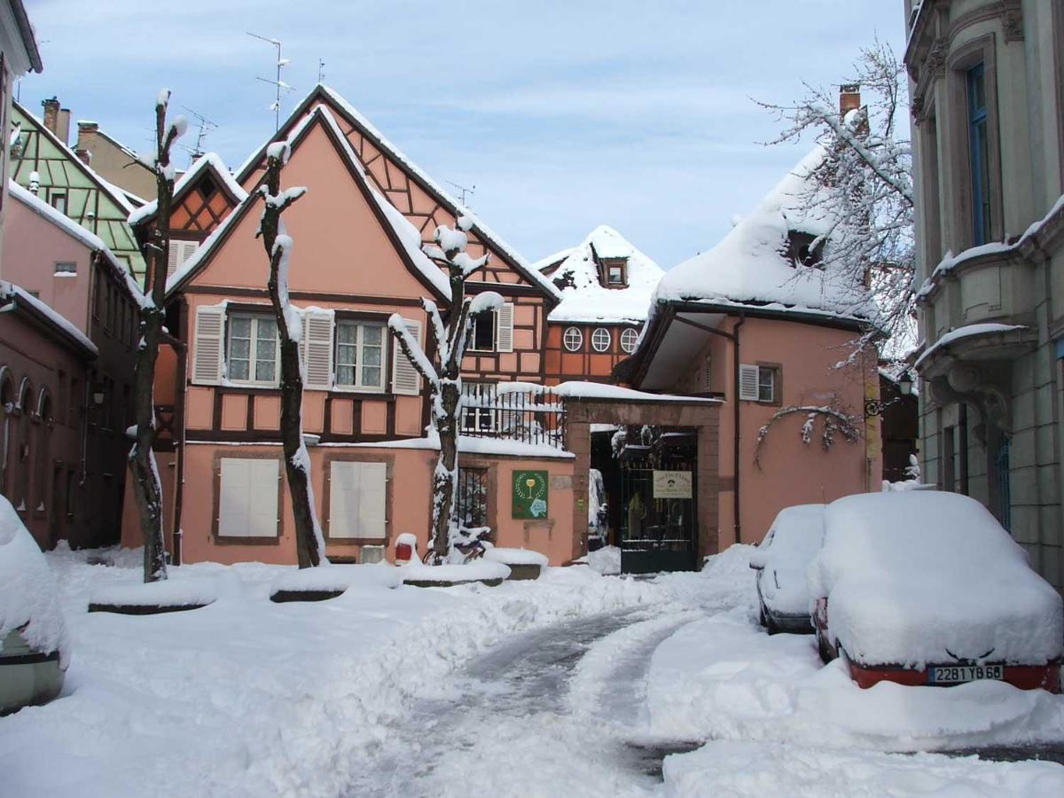 Chez Myriam Bed And Breakfast Studio Parme Colmar Ngoại thất bức ảnh